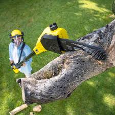 Best Lawn Fertilization Services  in USA